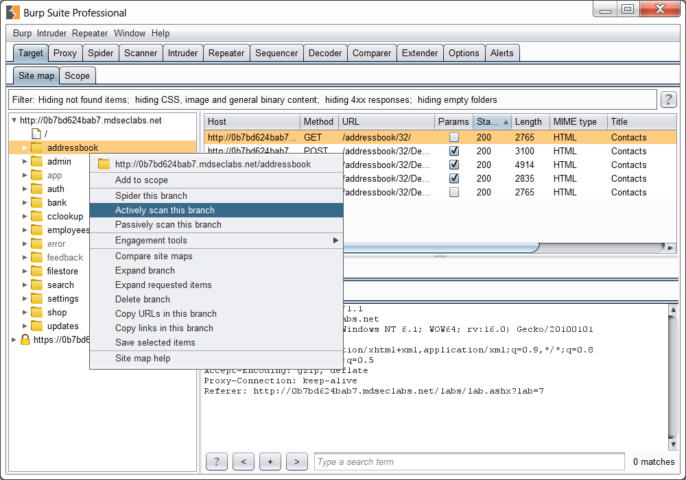 Burp Suite