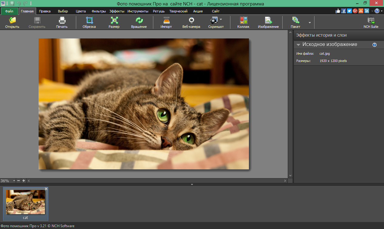 PhotoPad Image Editor